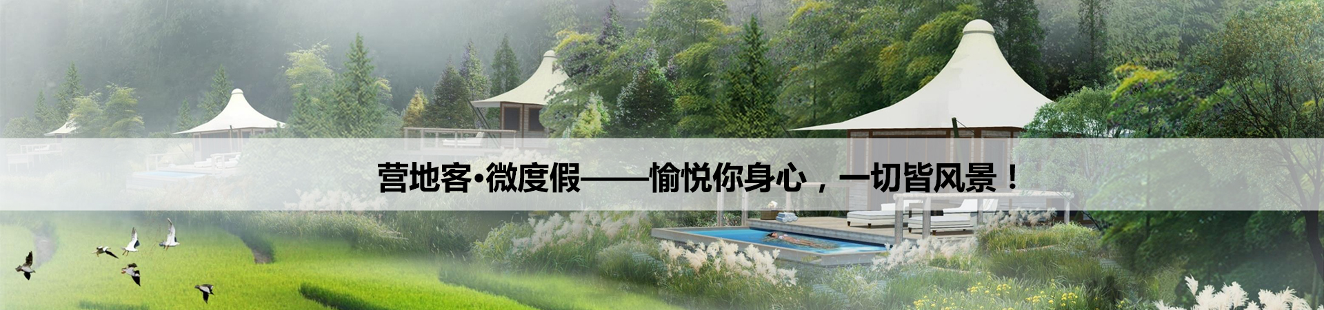 首页广告位5