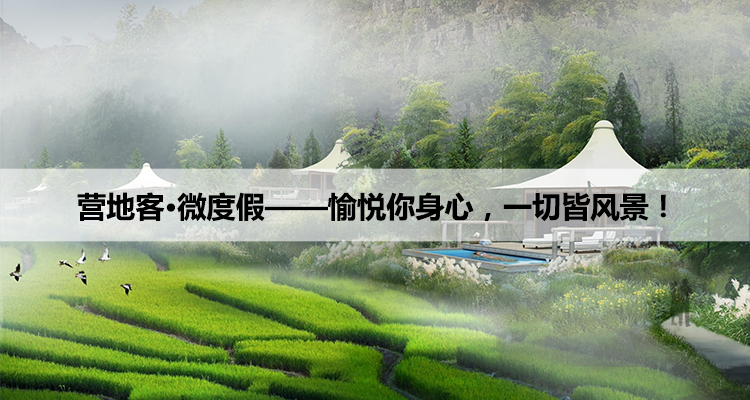 首页广告位5